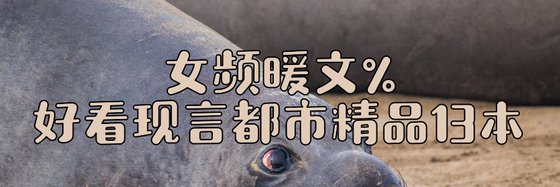 女频暖文%好看现言都市精品13本